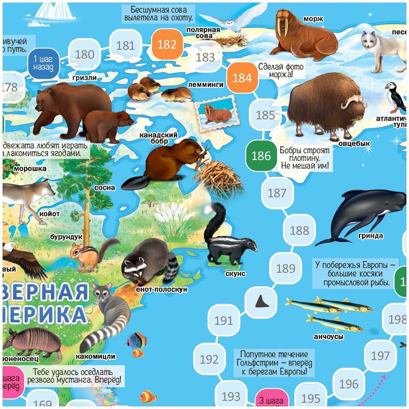 Игра-ходилка настольная ГЕОДОМ "Животный мир Земли", с фишками РОССИЯ ГЕОДОМ Геодом  ТНВЭД 9504908009