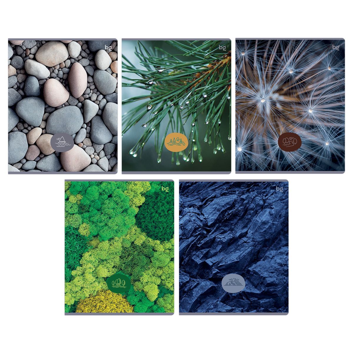 Тетрадь 48л., А5, клетка BG "Детали природы", эконом РОССИЯ BG БиДжи  ТНВЭД 4820200000