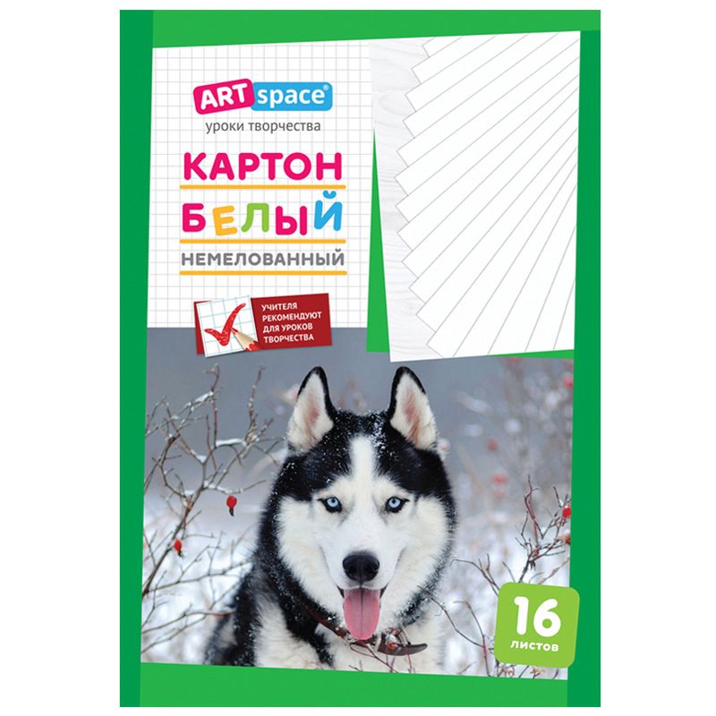 Картон белый А4, ArtSpace, 16л., немелованный, в папке РОССИЯ ArtSpace Спейс  ТНВЭД 4820900000