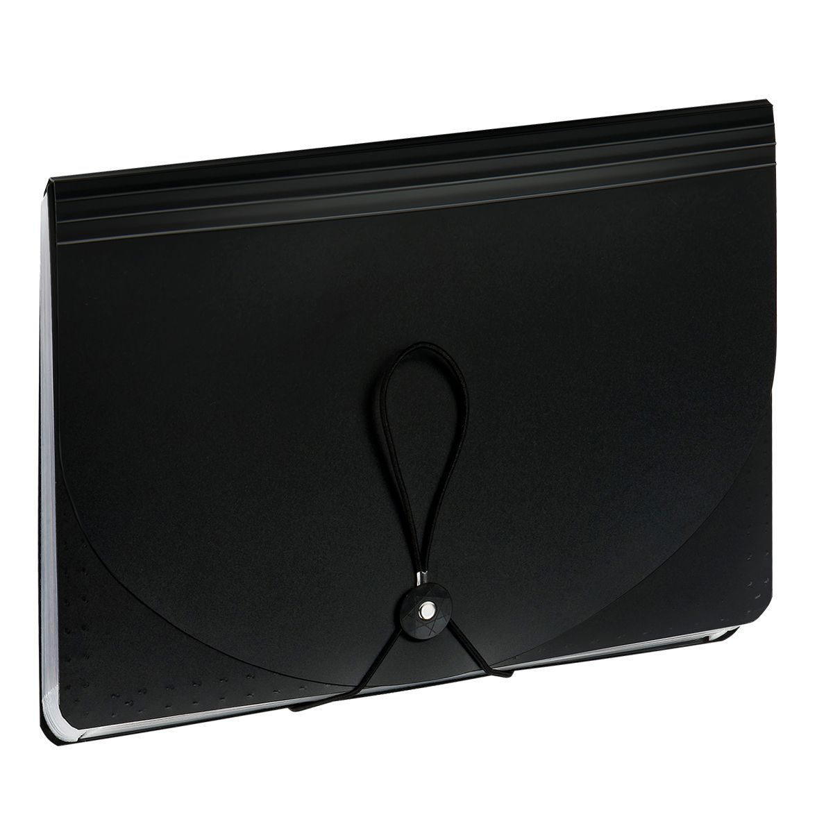 Папка-органайзер для хранения документов СТАММ А4,13 отделений,  черный КИТАЙ СТАММ СТАММ 10702070/050625/5189951/1 ТНВЭД 3926100000