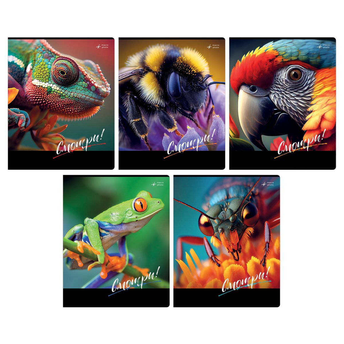 Тетрадь 48л., А5, клетка BG "Смотри", суперэкономРОССИЯ BG БиДжи  ТНВЭД 4820200000