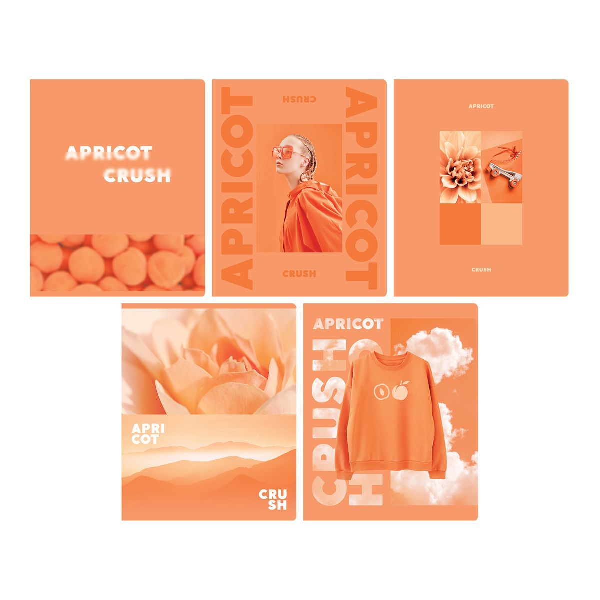 Тетрадь 48л., А5, клетка BG "Apricot", матовая ламинация РОССИЯ BG БиДжи  ТНВЭД 4820200000