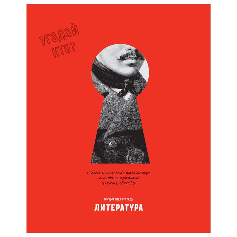 Тетрадь предметная 48л. BG "Угадай кто" - Литература, матовая ламинация, выб. лак РОССИЯ BG БиДжи  ТНВЭД 4820200000