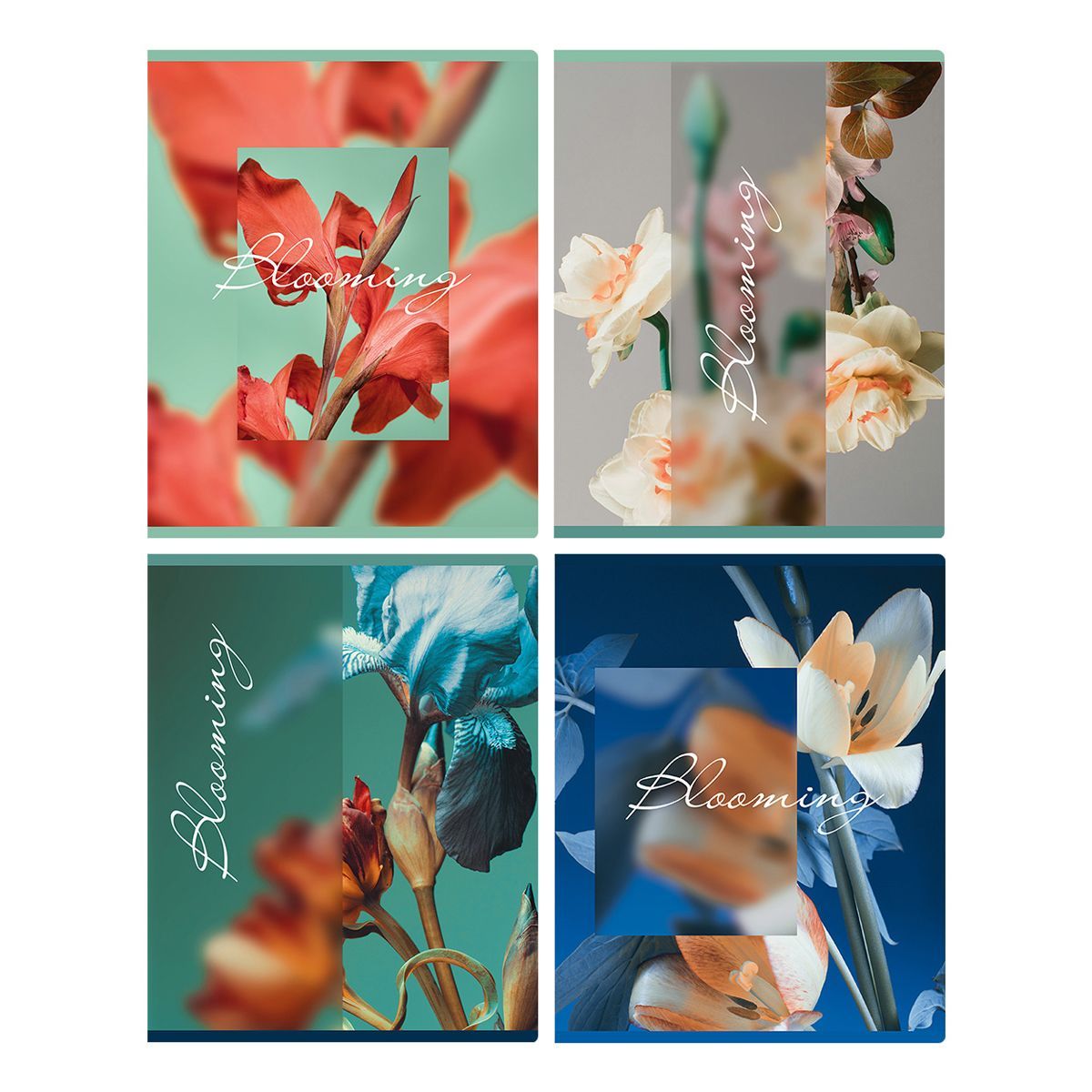 Тетрадь 48л., А5, клетка BG "Blooming", матовая ламинация РОССИЯ BG БиДжи  ТНВЭД 4820200000